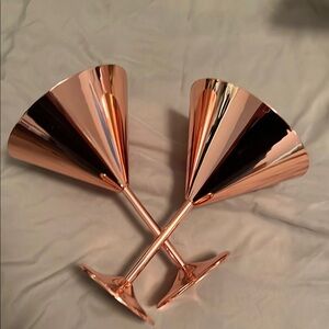 Pier 1 Copper Martini Glasses